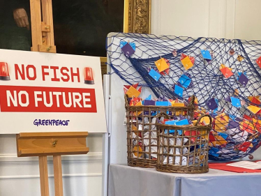 Greenpeace's 'no fish no future' Campaign