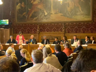 Sir Peter chairing the All-Party Parliamentary Group on Leasehold and Commonhold Reform