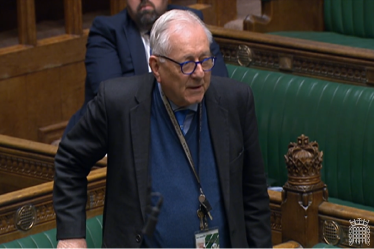 Sir Peter Bottomley in the House of Commons